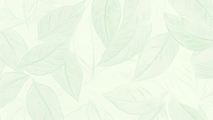 HD Wallpaper Mint Green.