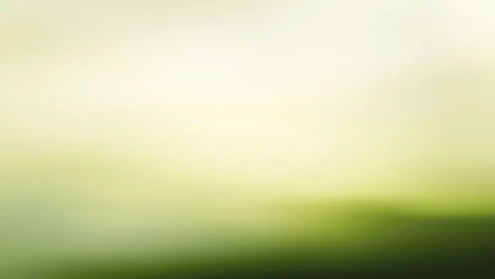 Light Green 4K Wallpaper Minimalist.