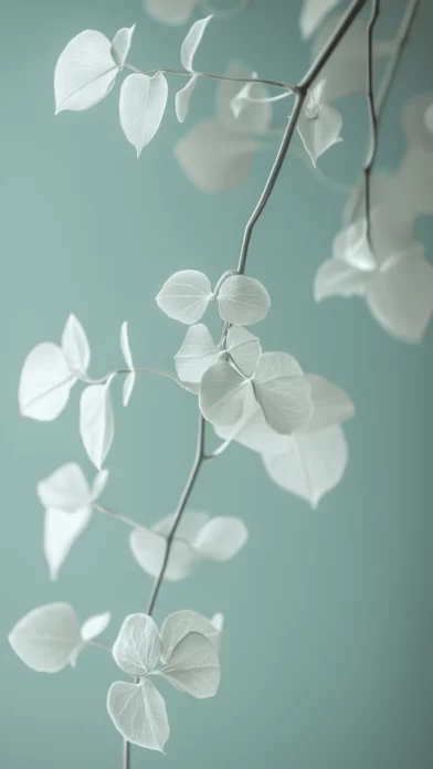 Mint Green Wallpaper  Free Download.