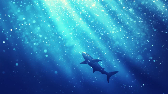 Shark PC  Wallpaper.