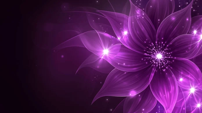 Awesome Flower Wallpaper HD.