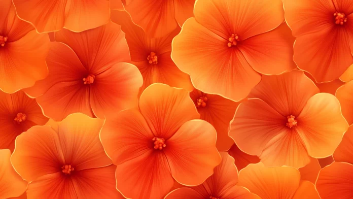 Flower Wallpaper.