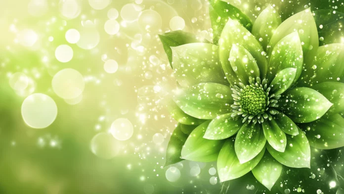 Flower Wallpaper 2K  Free Download.