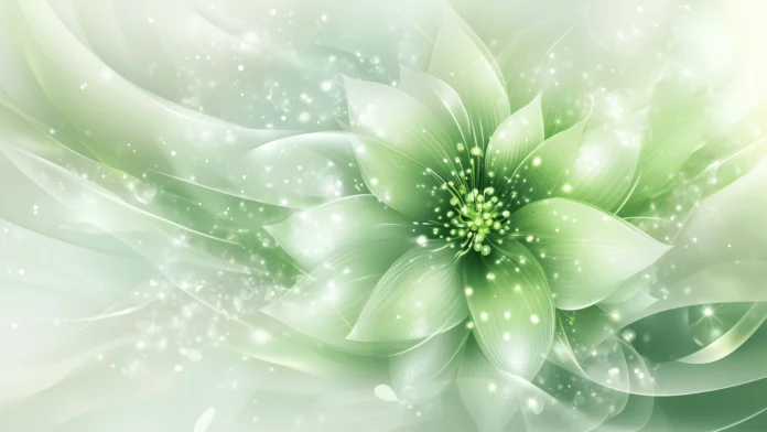 HD Wallpaper Flower.