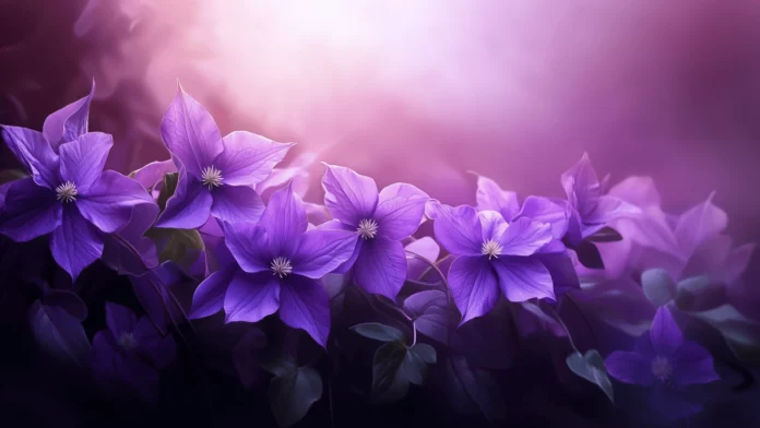 The best Flower Wallpaper HD.