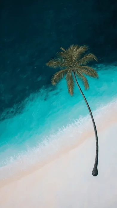 Tropical Backgrounds HD Free download.