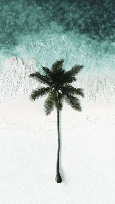 Tropical Backgrounds HD Free download.